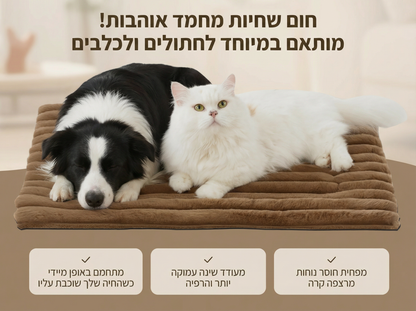 מיטת הפלא מבית Raynite™