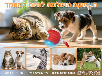 כדור הפלא של Raynite™