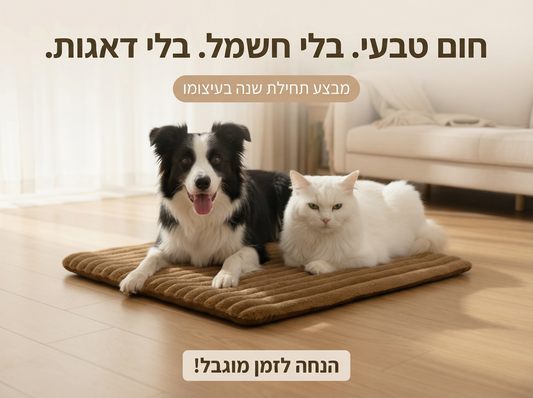 מיטת הפלא מבית Raynite™