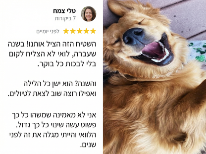 מיטת הפלא מבית Raynite™