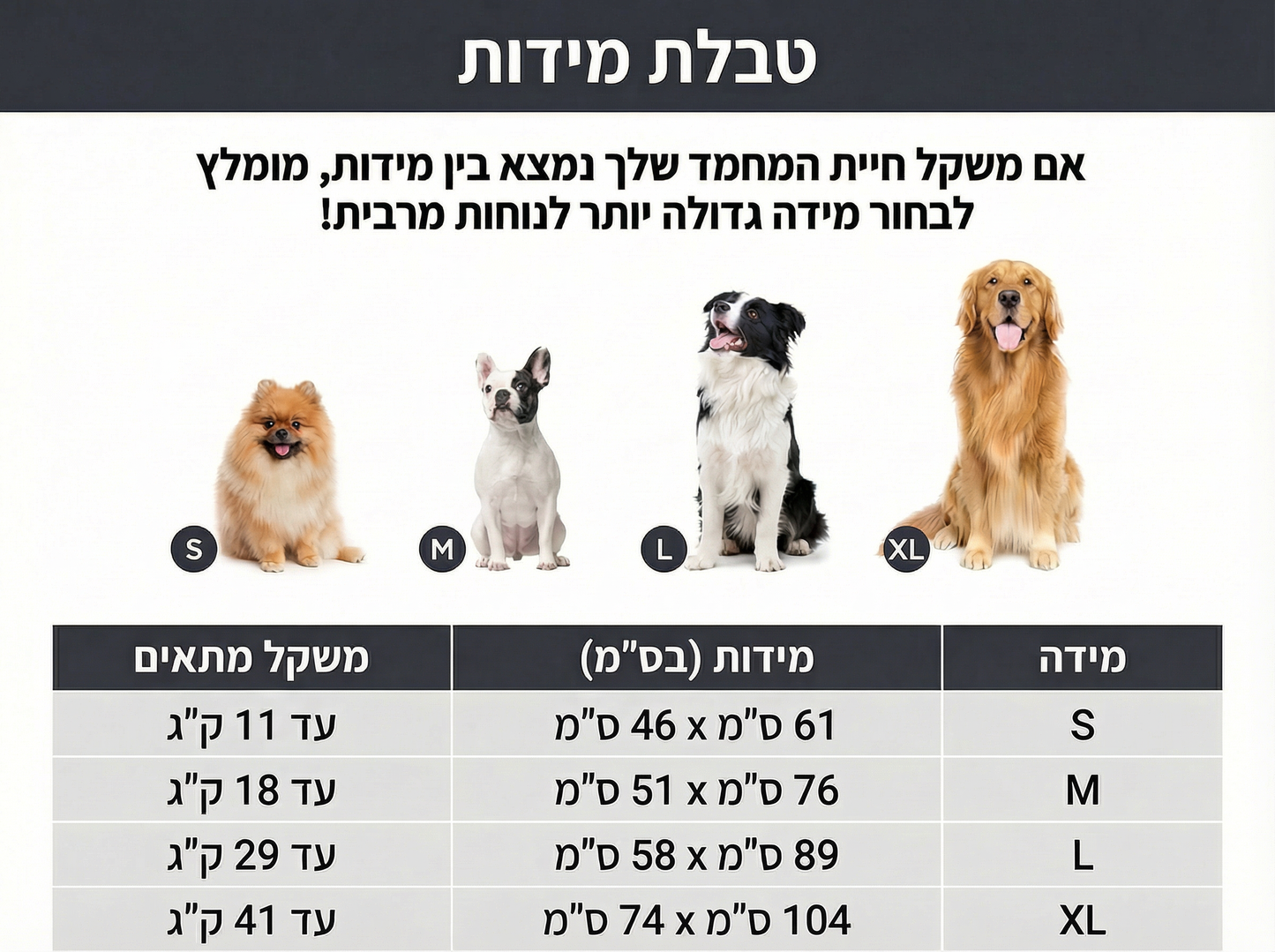 מיטת הפלא מבית Raynite™