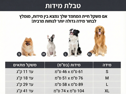 מיטת הפלא מבית Raynite™