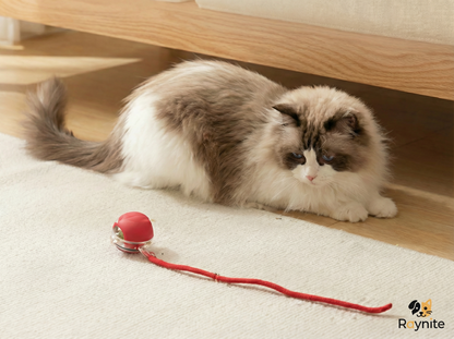 כדור הפלא של Raynite™